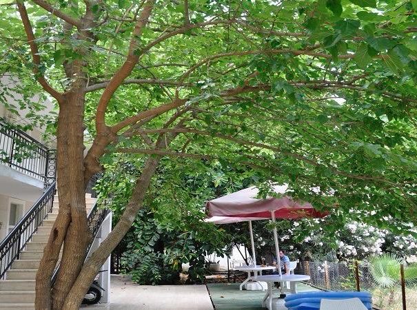 WhatsApp Image 2025-12-28 at 5.56.14 PM (2)