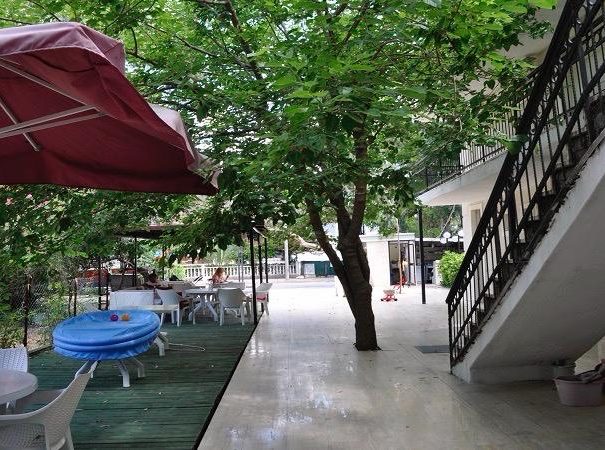 WhatsApp Image 2025-12-28 at 6.00.52 PM