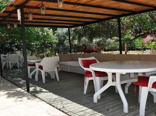 WhatsApp Image 2025-12-28 at 6.00.55 PM